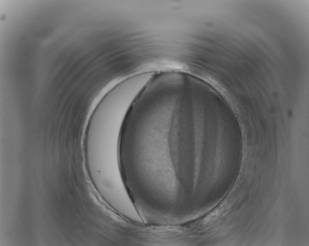 X0000066950864200603311440