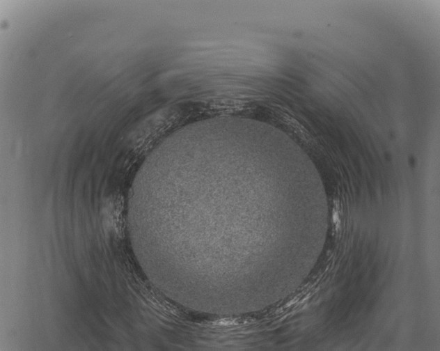 X0000066950867200603311440