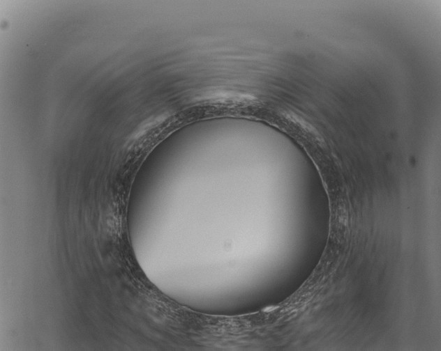 X0000066950869200603311440