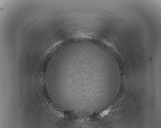 X0000066950870200603311440