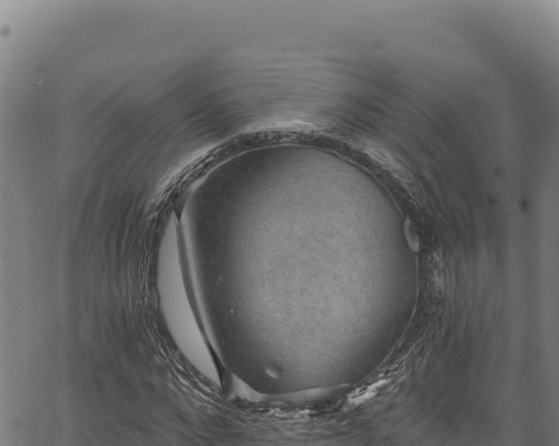 X0000066950872200603311440