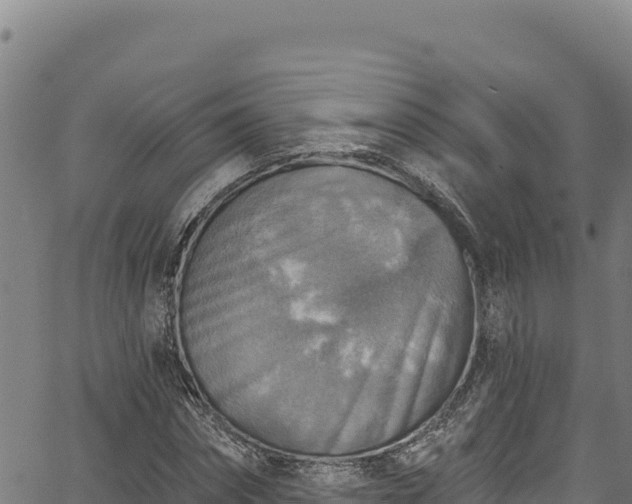 X0000066950874200603311440