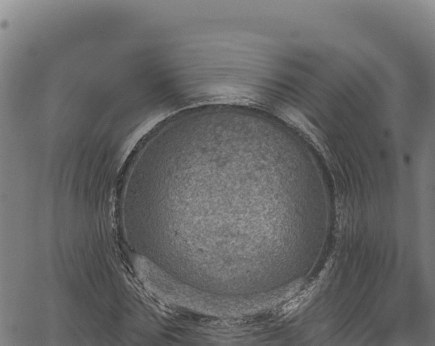 X0000066950875200603311440