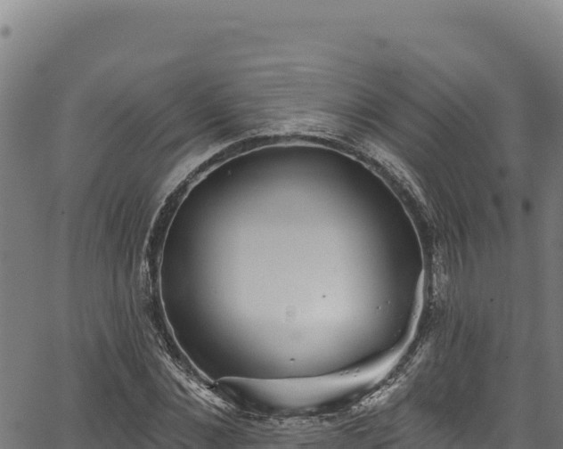 X0000066950876200603311439