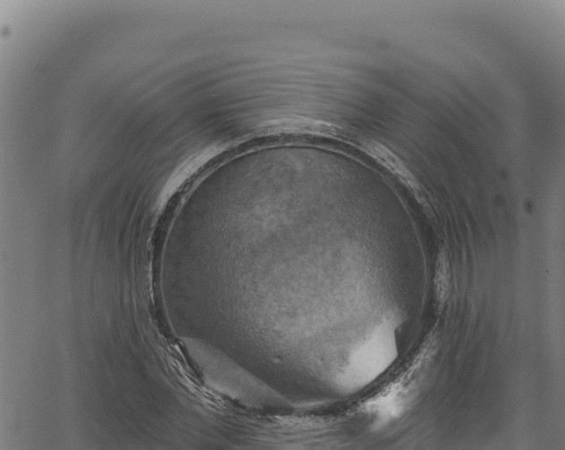 X0000066950877200603311439