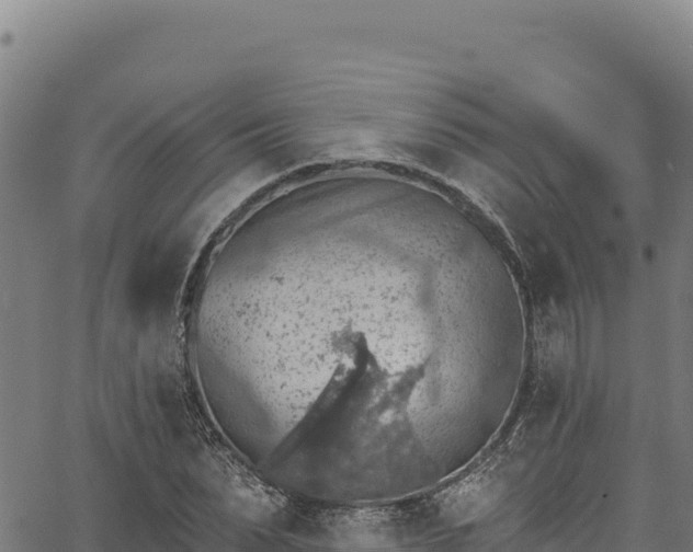 X0000066950879200603311439