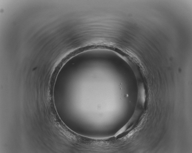 X0000066950880200603311439