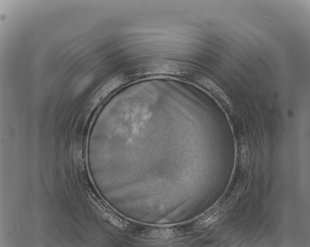 X0000066950882200603311439