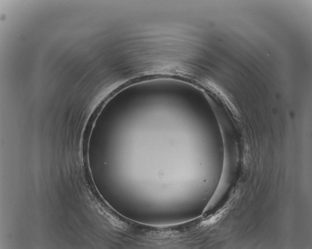 X0000066950884200603311439