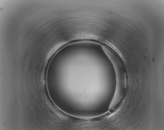 X0000066950885200603311439