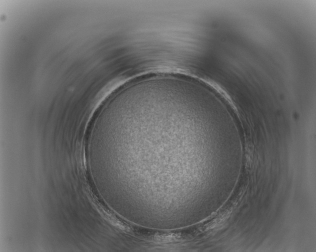 X0000066950887200603311439