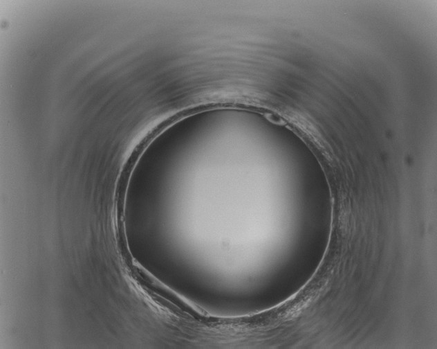 X0000066950888200603311439