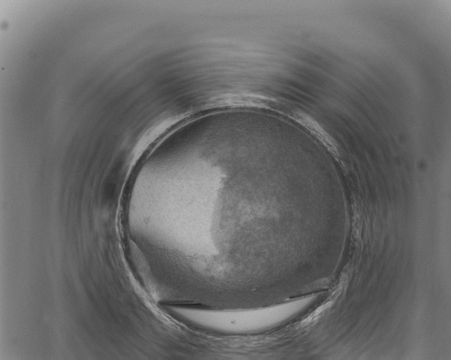 X0000066950893200603311439