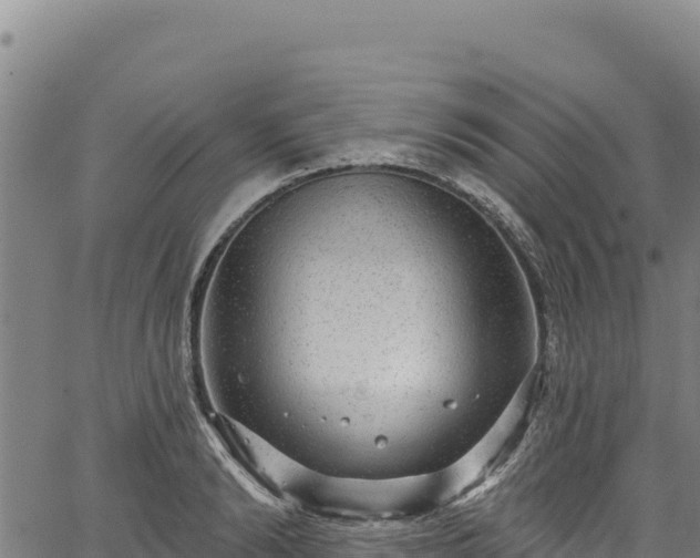 X0000066950894200603311439