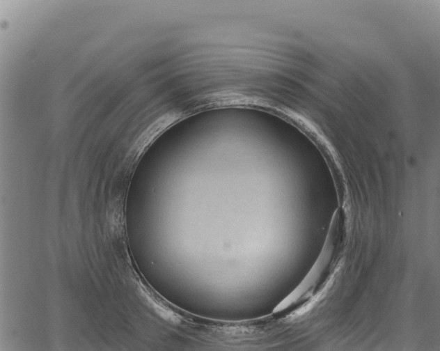 X0000066950897200603311439