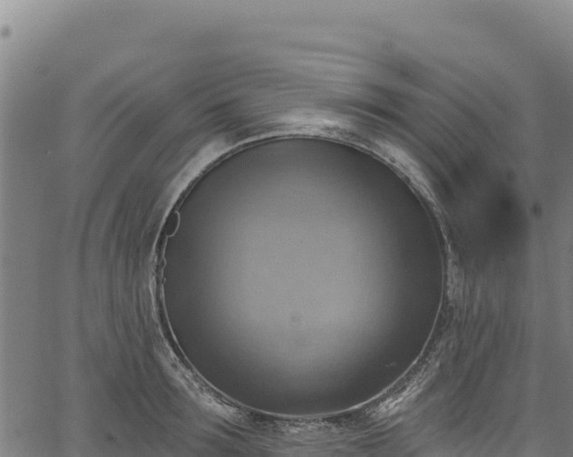 X0000066950899200603311439