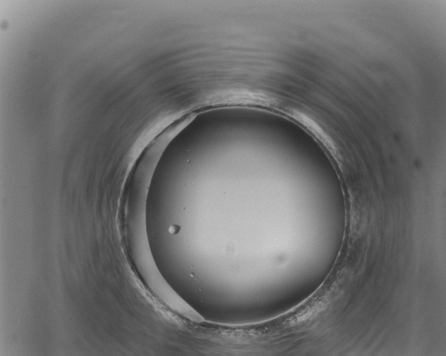 X0000066950901200603311439