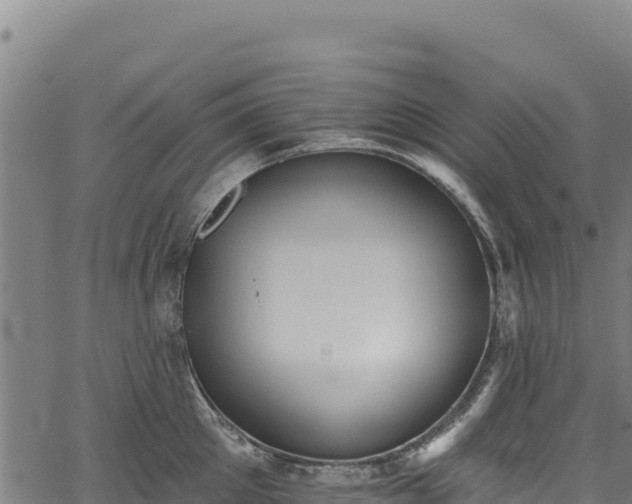 X0000066950905200603311439