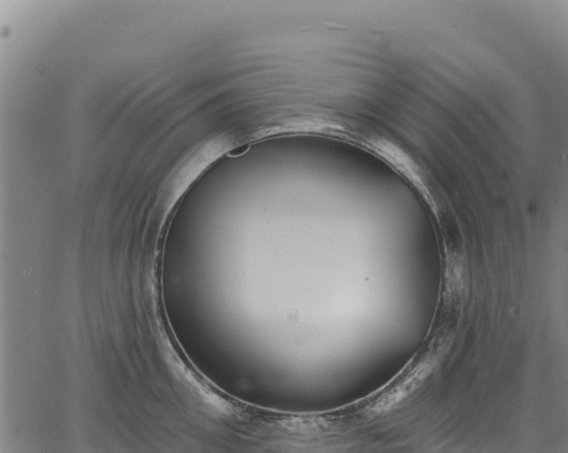 X0000066950906200603311439