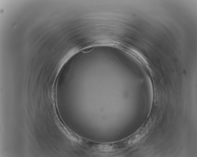 X0000066950907200603311439