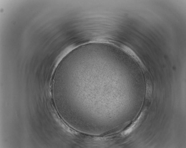 X0000066950908200603311439