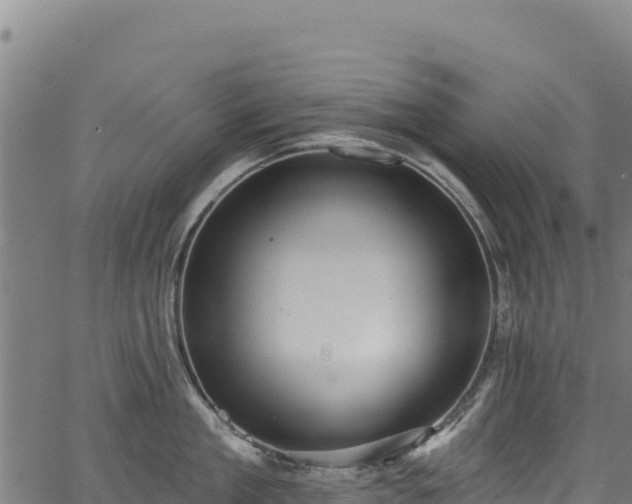 X0000066950909200603311439