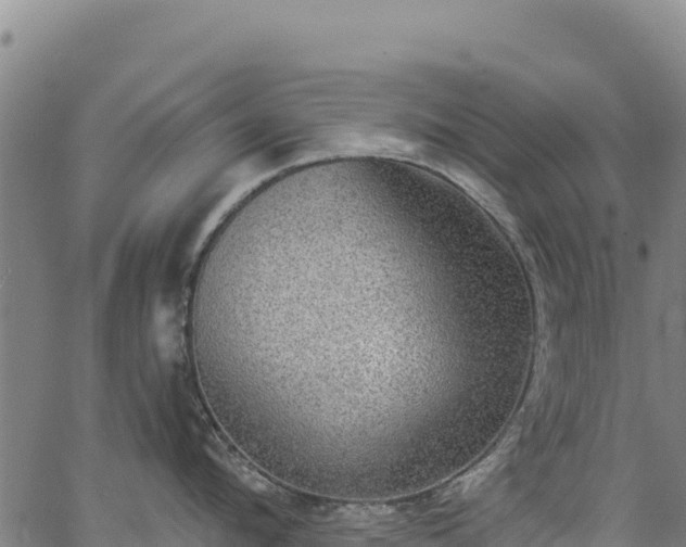 X0000066950912200603311439