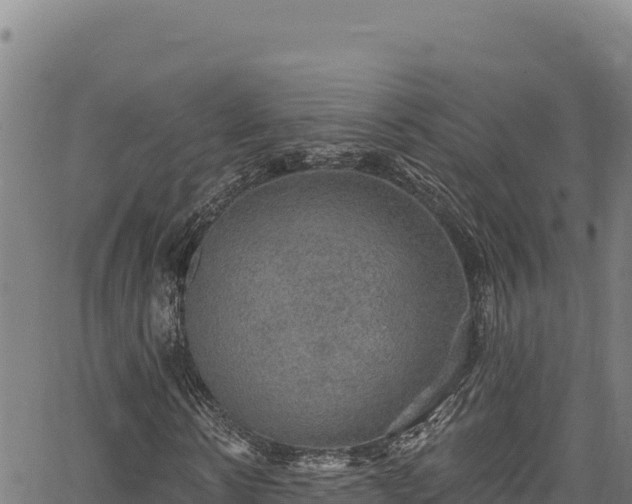 X0000066950914200603311438