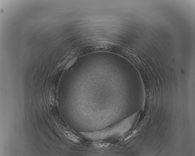 X0000066950916200603311438