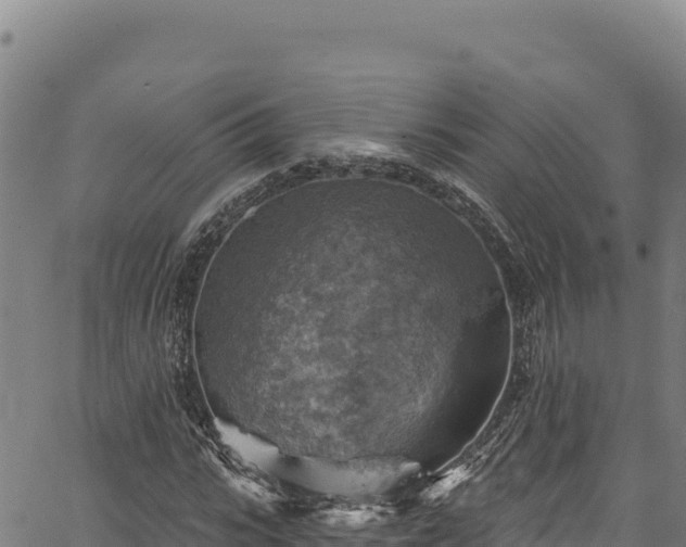 X0000066950919200603311438