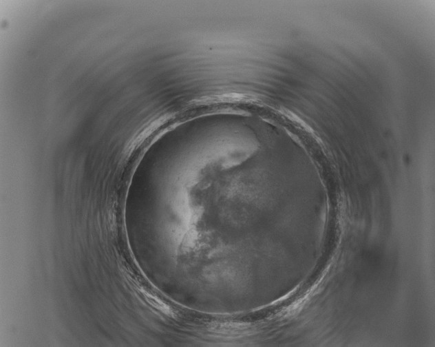 X0000066950921200603311438