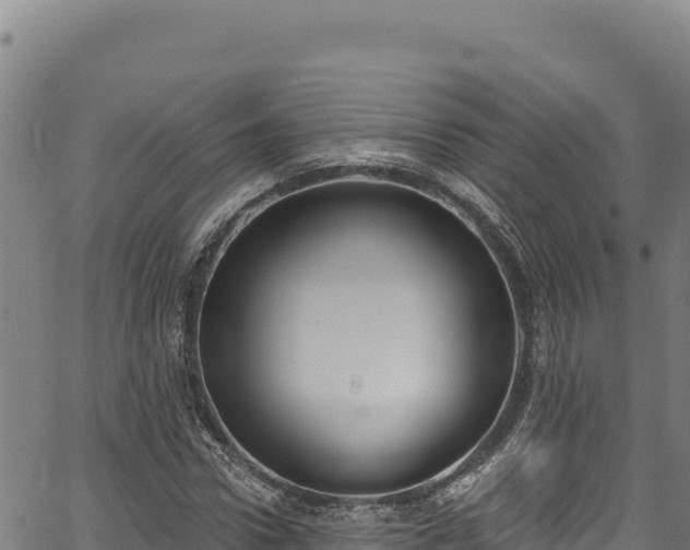 X0000066950922200603311438