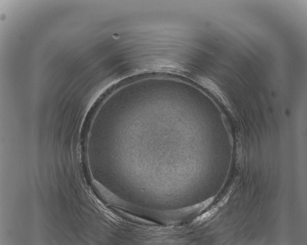 X0000066950924200603311438