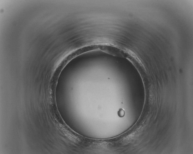 X0000066950926200603311438