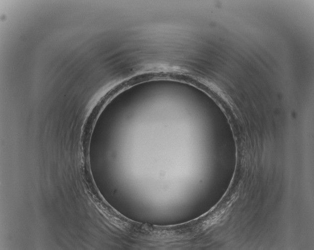 X0000066950927200603311438