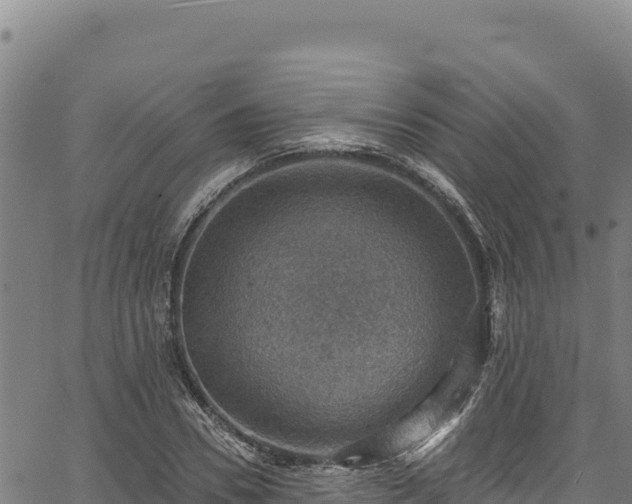 X0000066950930200603311438