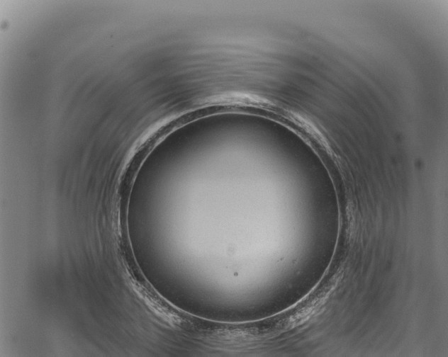 X0000066950931200603311438