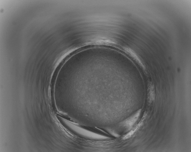 X0000066950932200603311438