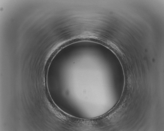 X0000066950934200603311438