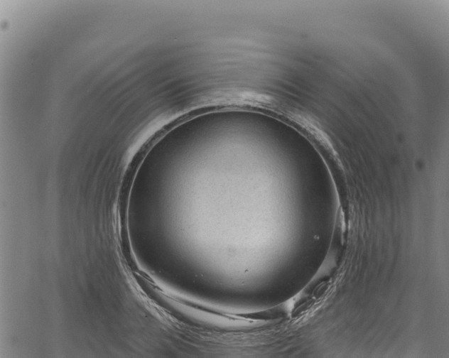 X0000066950936200603311438