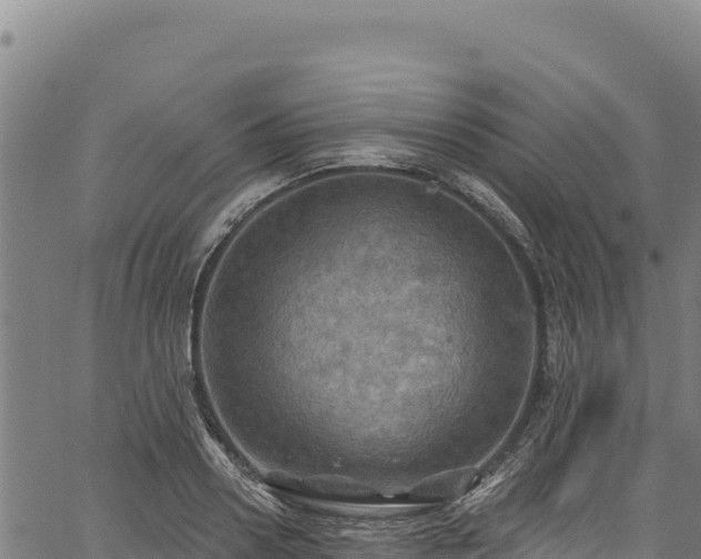 X0000066950938200603311439