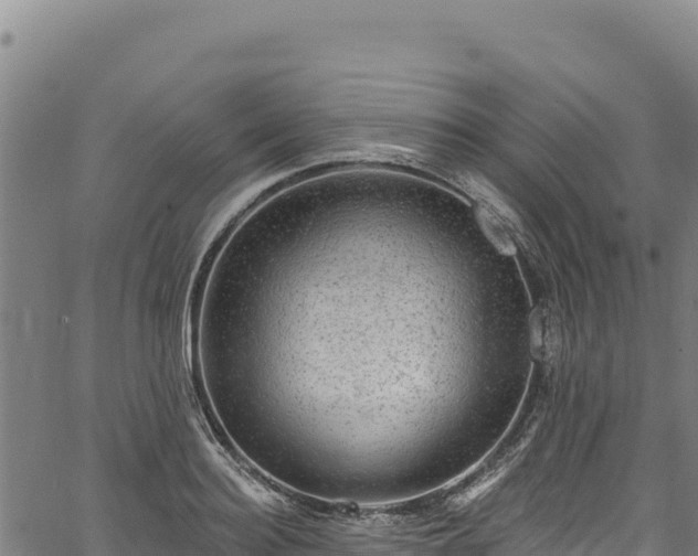 X0000066950940200603311439