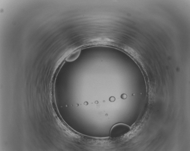 X0000066950941200603311439