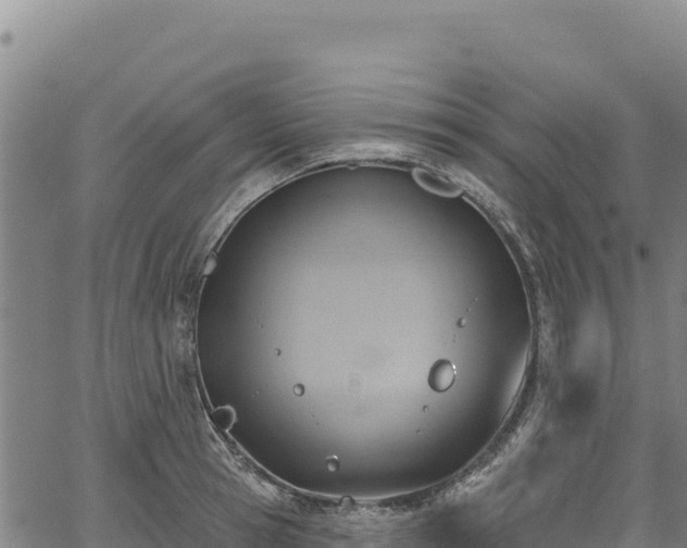 X0000066950945200603311439