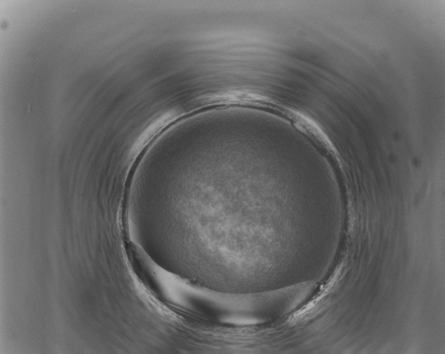 X0000066950946200603311439