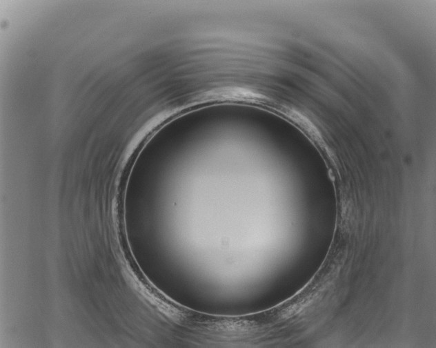 X0000066950947200603311439