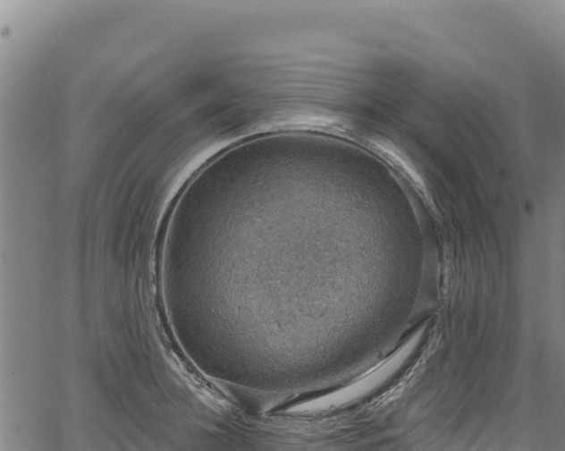 X0000066950948200603311439