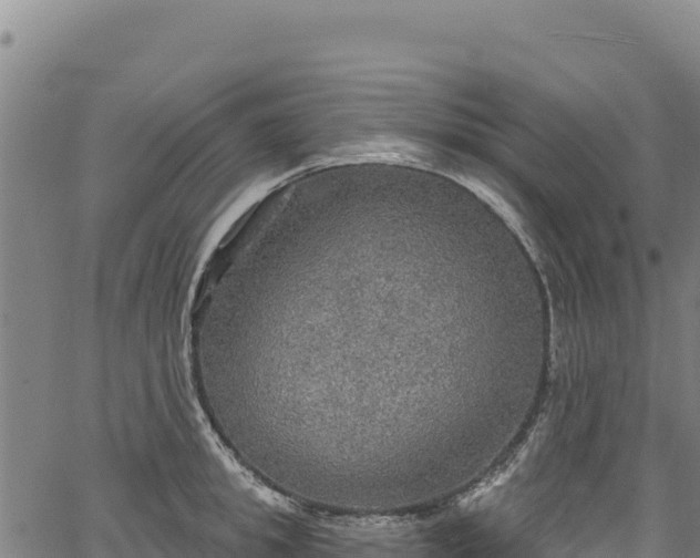 X0000066950949200603311439