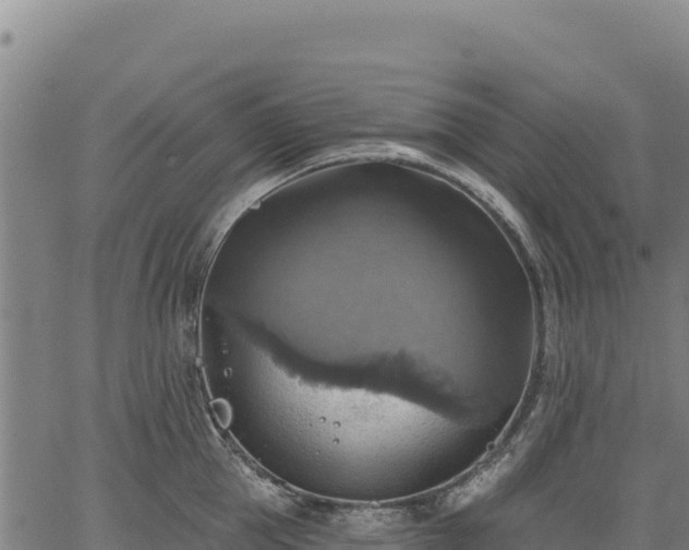 X0000066950953200603311439