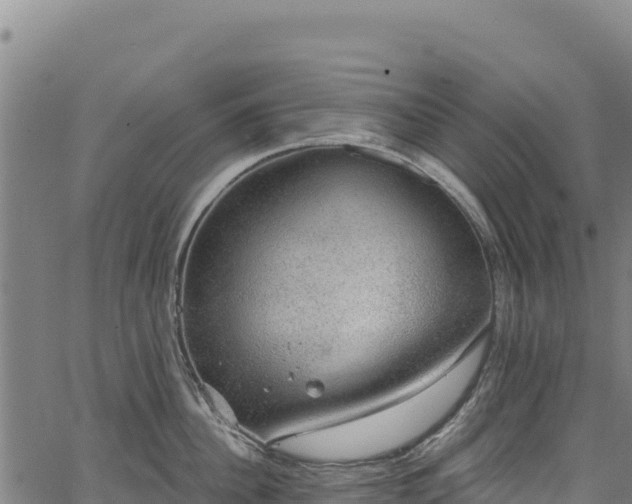 X0000066950956200603311439